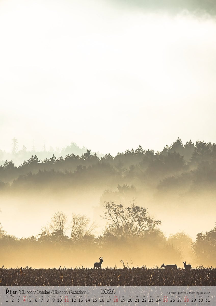 Nástěnný kalendář 2026, Příhrazské skály, Český ráj, strana měsíce říjen, verze na výšku