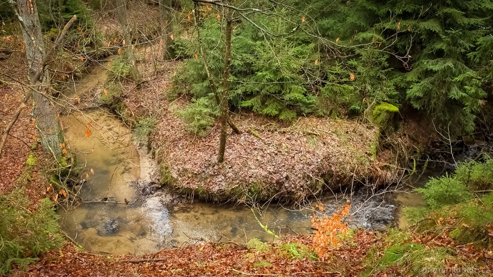 Meandry horního toku Ploučnice