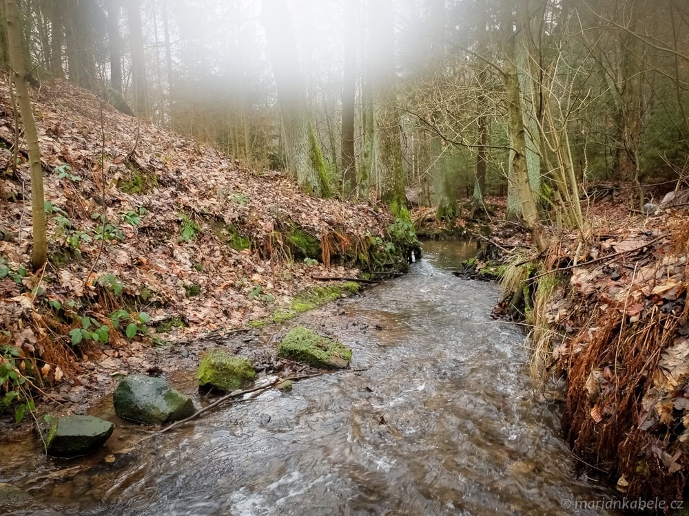 Řeka Ploučnice u Chrastné