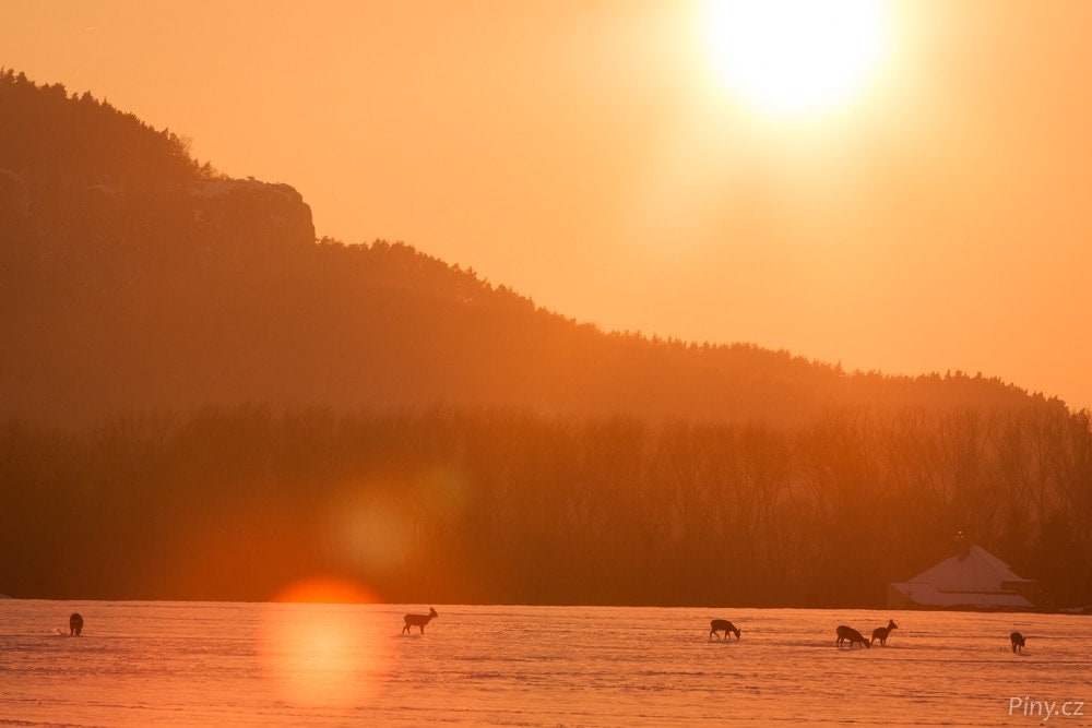 Fotopoutník: S fotoaparátem na běžkách po sněhových pláních Českého ráje